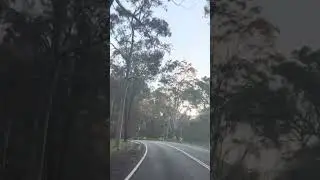 POV: Road Trip