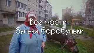 Бабушка с бегемотом все части #бегемот #булька #барабулька #пенсионерка #memes #мем