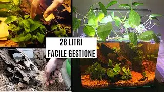 ALLESTIMENTO acquario BlackWater di facile gestione 💦 28 litri BLAU