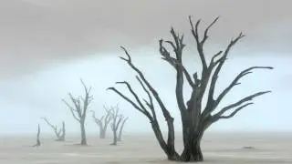Kapustin Plays Kapustin - Piano Sonata No 5, Op 61