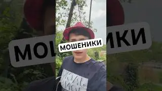 МОШЕНИКИ #ит #javascript #рекомендации #мошенники #деньги #истории #история #программист