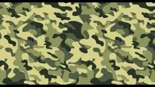 Пытаюсь определиться с камо для второго 