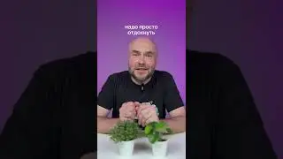 Что делать, если никакая работа не нравится? #психология #призвание