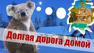 Как снять жилье в Австралии? Часть вторая, практическая