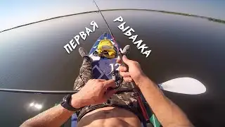 Мой первый опыт в рыбалке