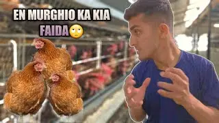 Ye kis liye hamny paaly huwy hai😂?|#mrbeast #trending #viral #vlog