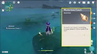 Mysterious Conch For Chest | Genshin Impact