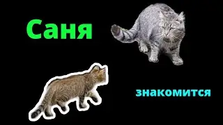 Знакомство Сани с местным жителем.
