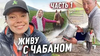 ЖИВУ С ЧАБАНОМ НА ДЖАЙЛОО! Кыргызстан! 