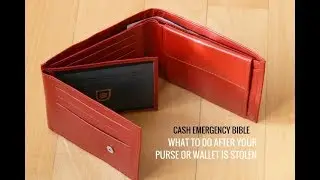 What to do after your purse or wallet is stolen