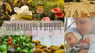 Первая осень в деревне🌿 обычная жизнь.
