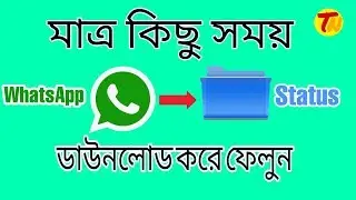 How to Download WhatsApp status