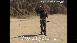 Экскурсии в Шарм Эль Шейх - мотосафари