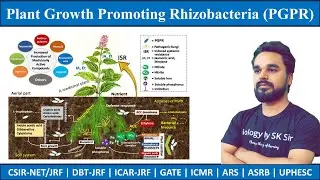 PGPR | Plant Growth Promoting Rhizobacteria | Microbiology | SK Sir