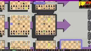 5D Chess with Multiverse Time Travel but I recorded with with a livesplit timer