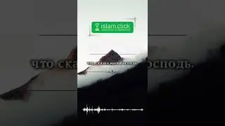 Можно ли праздновать день рождения Пророка ﷺ ? #Shorts #Ислам