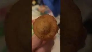 New little bites toast yay  gril scout  cookie French toast muffins review at Walmart