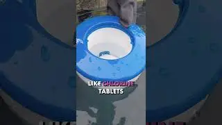 The Secret Cause of HIGH CYA in Your POOL 🤫 | Swim University