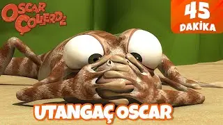 Oscar Çöllerde 🦎 | Utangaç Oscar! 🤩| Minika