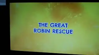 17 EL GRAN RESCATE DE ROBIN QUE GANE EL MEJOR GATO 13 DE JULIO DE 2024
