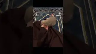 #cute маленький комочек🤭🐈‍⬛
