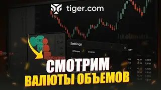 Как установить отображение объемов в долларах в терминале Tiger.com