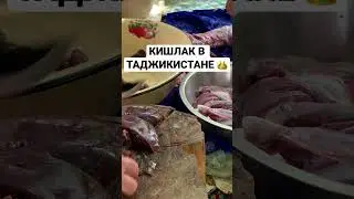 ЗАМУЖЕМ ЗА ТАДЖИКОМ😍ПРИЕХАЛИ НА РОДИНУ МУЖА🤲🔥