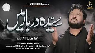 Kya Hawa Kyu Ro pari Ha Syeda Darbar Mein | Ali Jaun Jafri | New Kalam 2024
