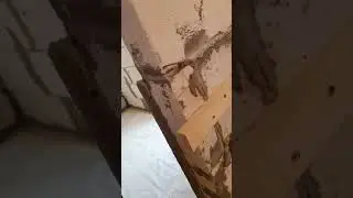 ОБРЕШЕТКА В ПАРНОЙ БАНЕ 