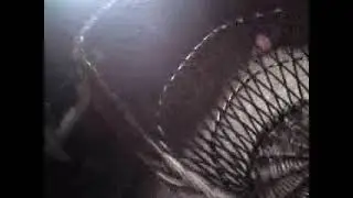 MOV05445