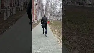 1 июня 2024 г.