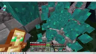 Minecraft Bedrock Realm Vanilla Survival 12/04/23