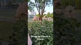 Вечер на отдыхе в Анапе. Июнь 2024 года.