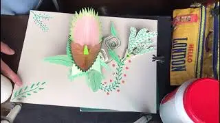 #popup