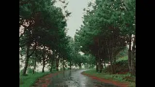 Rainy Day in Pyin Oo Lwin