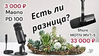 Сравните звук микрофона за 33 тыс. (Shure MV-7) и за 3 тыс. (Maono PD100)