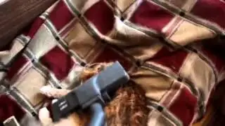 НИФИГА СЕБЕ КОТ