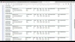 primer designing through NCBI