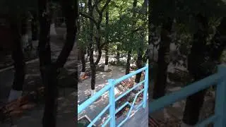 Palidli Sahil Ленкорань санаторий