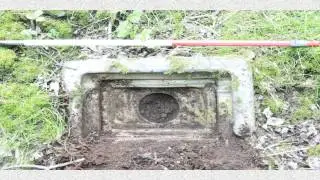 The Mavis Valley Project