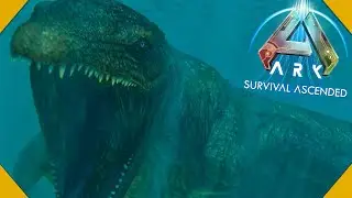 Taming Every Creature In Ark Survival Ascended In 24 hours LIVE #7