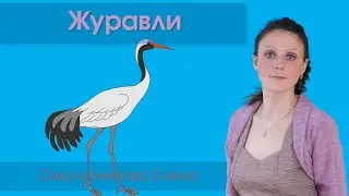 Перелётные птицы: 