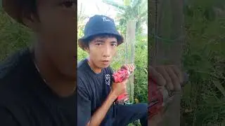 Mau Pakai Bor Buat Kerja #Bor #Borbaterai #Diy