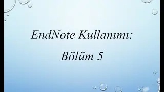 Importing references in the Google Scholar into EndNote