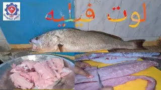 @ تنظيف وتقطيع وتجهيز سمكة لوت بلدي 13k فيليه  وأخلاء الشوك  لطرق الطهي المختلفة.