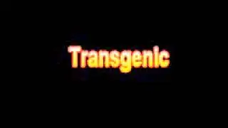 What Is The Definition Of Transgenic