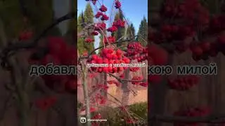 #доброгоранку #осень #амбасадорка_гарних_змін