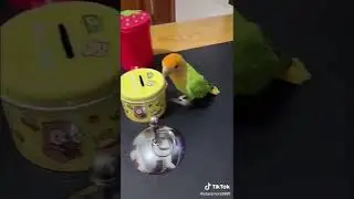 Keep it tidy 🤣