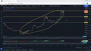 ZEC - Zcash Technical Analysis for November 24, 2021 - ZEC - PRICE UPDATE