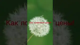 ФАМИЛИЯ МАГАЗИН! Как меняют цены! Как нас обманывают!